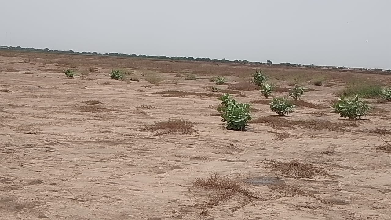 Kousseri solar power plant
